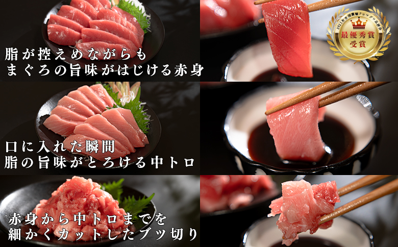 【定期便12回】日本一!黒潮本まぐろ 中トロ・赤身・ブツ切り（3種交互）