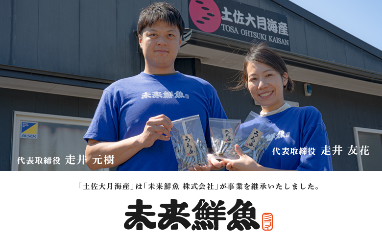 【定期便4回】旬のお刺身用柵セット 4～6種 刺身 高知県産｜盛り合わせ 食べ比べ 鮮度抜群 産地直送 海の幸 海鮮 魚介 新鮮 おつまみ 酒 海鮮丼 寿司 厳選 ギフト おすすめ 人気 お盆 お中元 お歳暮 カルパッチョ お取り寄せ グルメ