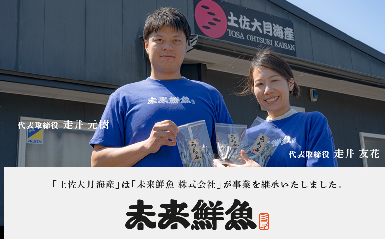【定期便4回】塩麹に漬け込んだタイ＆ブリ＆地魚フライ｜高知県産 白身魚 鯛 魚 たい 鰤 ぶり 揚げ物 麹 米麹 塩こうじ 天日塩 おすすめ 新鮮 魚介 海鮮 ビール おつまみ ご飯 お米 おかず 冷凍 便利 時短 お取り寄せ 贈答 ギフト 国産