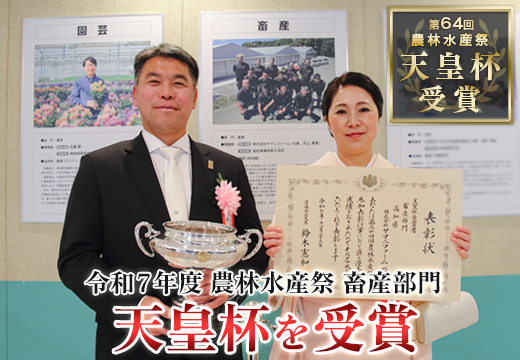 鶏肉 ささみ 1.1kg 定期便 6回 （1.1kg×6回） 鶏ささみ ササミ チキン 若鶏 ブランド鶏 最優秀賞 天皇杯 受賞 小分け 冷凍 骨なし お弁当 ササミフライ 梅しそ 筋トレ 高たんぱく 6.6kg 大容量 よさこい尾鶏 高知県 大月町