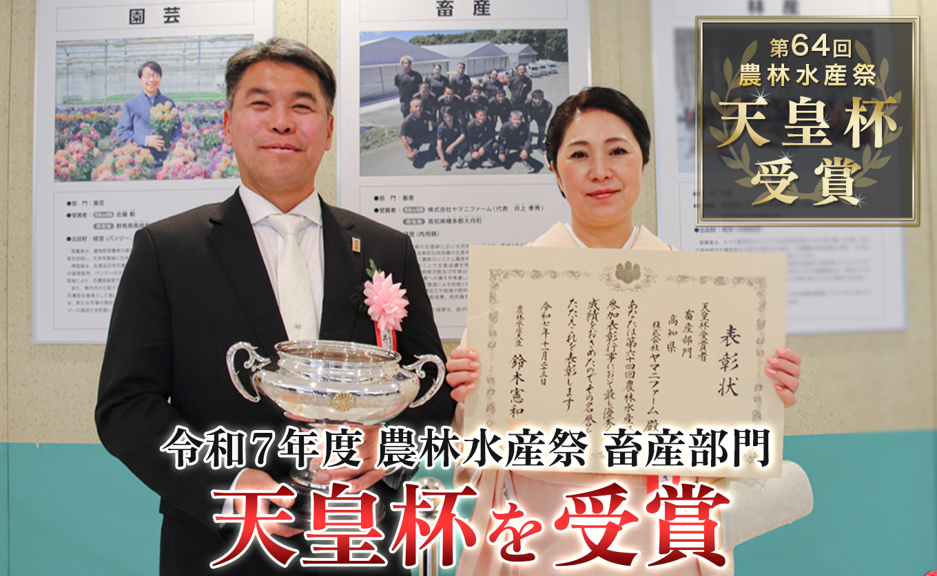 若鶏 むね肉 約1.1kg (約230g×5P) よさこい尾鶏｜鶏むね 鶏むね肉 鶏肉 国産 ブランド鶏 銘柄鶏 高知県産 小分け 高たんぱく ヘルシー調理 低脂質 ダイエット チキン サラダチキン 弁当 個包装 真空 冷凍 骨なし 高知県 大月町