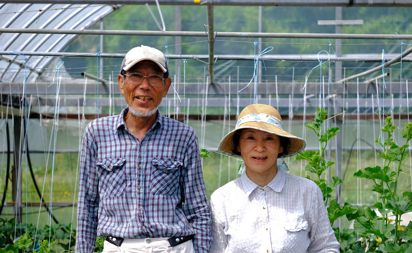 高知県産 新生姜 1.5kg前後 しょうが 生姜 ショウガ 期間限定 生産量日本一 旬野菜 野菜 薬味 産地直送 甘酢漬け 佃煮 炊き込みご飯 保存食 国産生姜 家庭用 数量限定 掘りたて 採れたて 新鮮 ジンジャー ジンジャーエール 