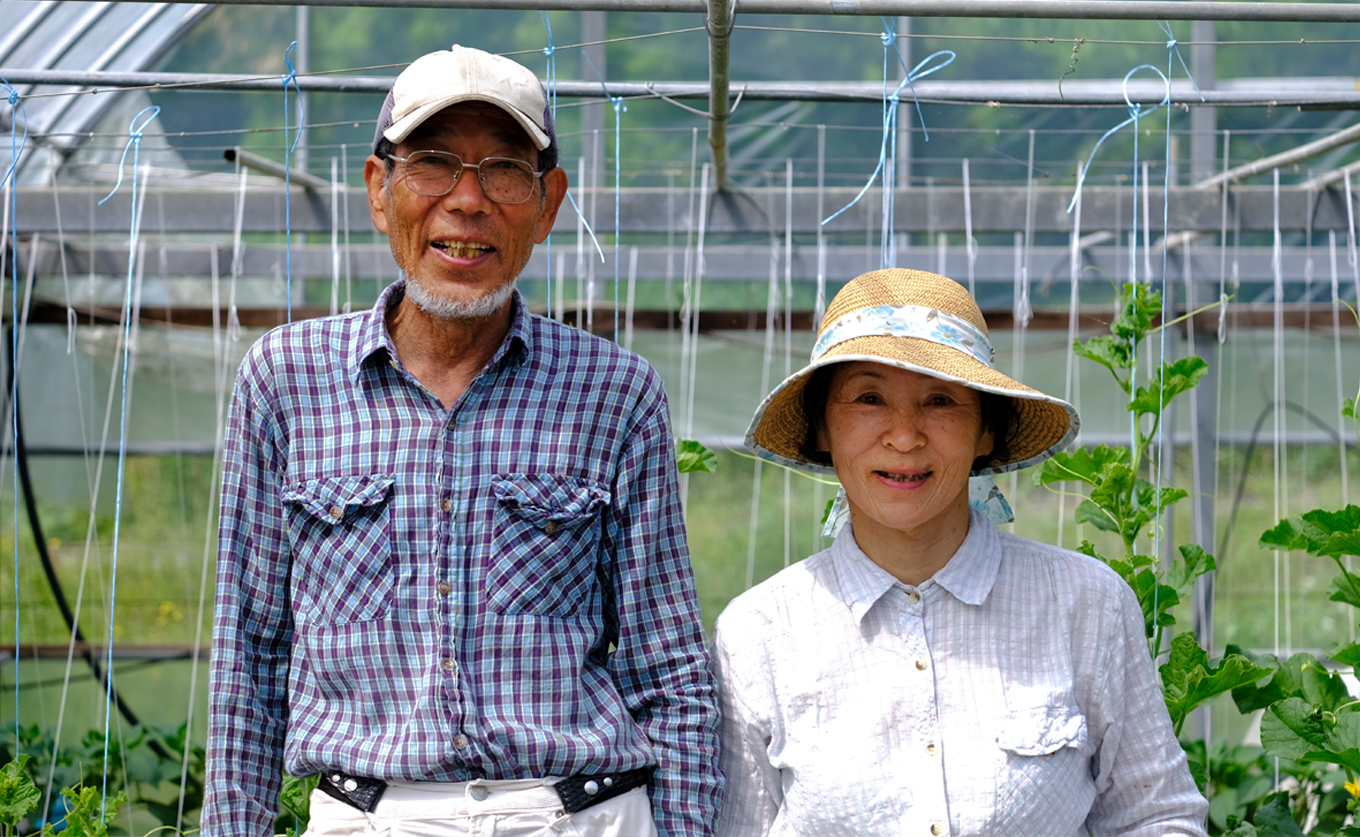スナップエンドウ 800g 豆 えんどう｜スナップえんどう 産地直送 新鮮野菜 旬の春野菜 採れたて 厳選 甘い ハウス サラダ 天ぷら お弁当 彩り みずみずしい フレッシュ 季節 農家応援 生産者応援 家庭用 おいしい 旬 健康 高知県 大月町