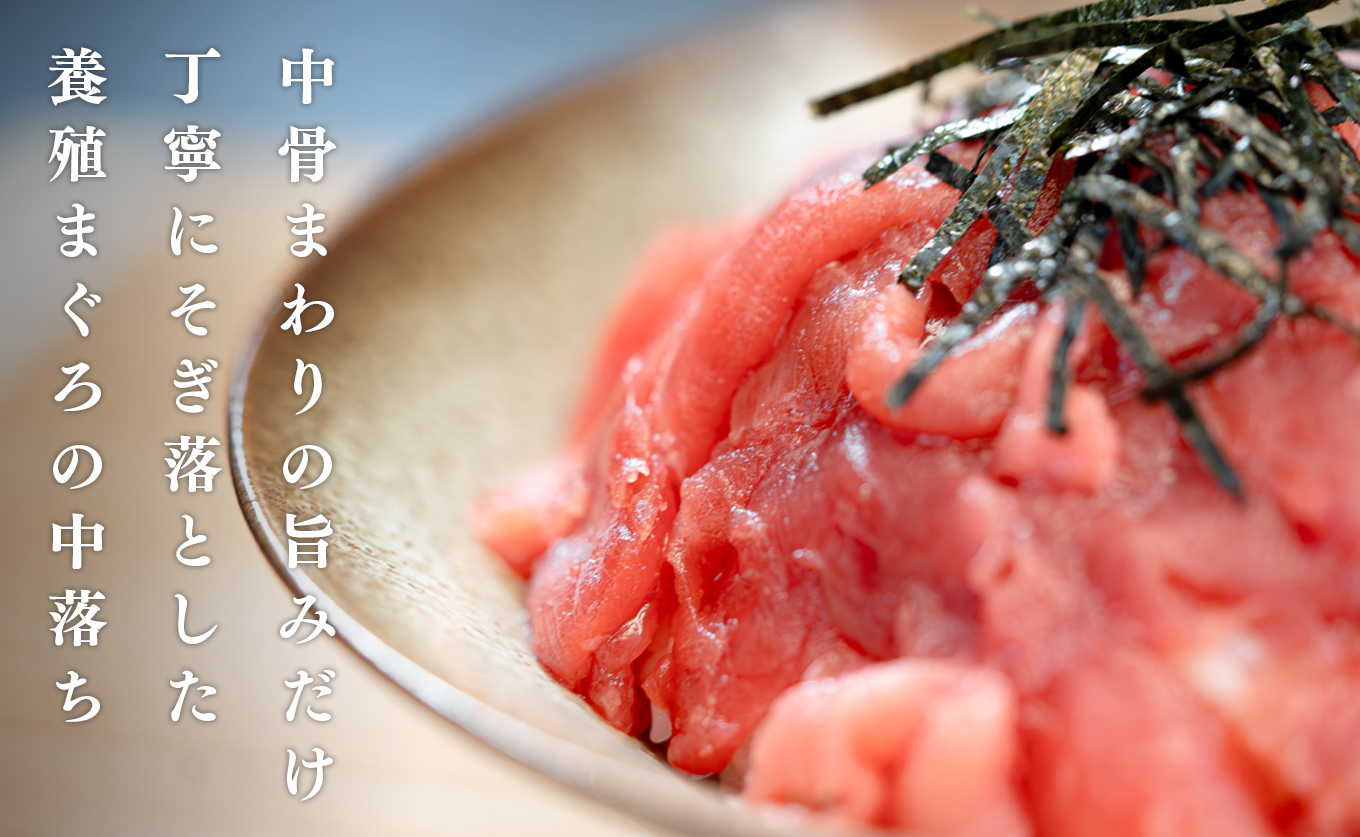 マグロ 中落ち まぐろ 400g｜本マグロ 本まぐろ 鮪 刺身 さしみ 刺し身 ネギトロ ねぎとろ まぐろたたき 年末 年始 正月 贅沢 おもてなしセレクション 金賞 受賞 ランキング 人気 高知県 大月町