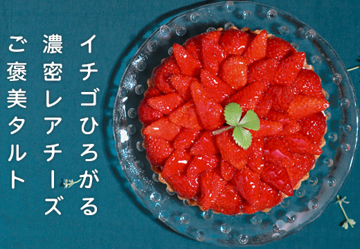 イチゴ たっぷり レアチーズタルト 手作り いちご 苺 チーズタルト フルーツタルト タルト ケーキ スイーツ ギフト 冷凍 お取り寄せ デザート 贈り物 贈答用 誕生日 バレンタイン ホワイトデー 母の日 お祝い 高知県 大月町