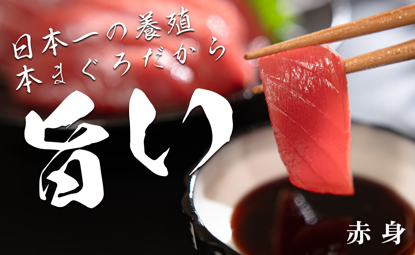 【高知県産 養殖本マグロ】赤身300g 黒潮本まぐろ｜刺身用 最優秀賞受賞 日本一 本まぐろ クロマグロ まぐろ 鮪 小分け 個包装 丼 寿司 柵 急速冷凍 解凍簡単 贈答 ギフト お祝い 父の日 年末年始 産地直送 高知県 大月町 海鮮