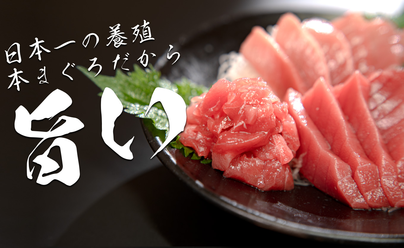 【高知県産 養殖本マグロ】 中トロ・赤身・ブツ切り600g 3種 黒潮本まぐろ｜刺身 最優秀賞受賞 日本一 本まぐろ まぐろ 鮪 トロ 小分け 丼 寿司 急速冷凍 解凍簡単 贈答 ギフト お祝い 年末年始 産地直送 高知県 大月町