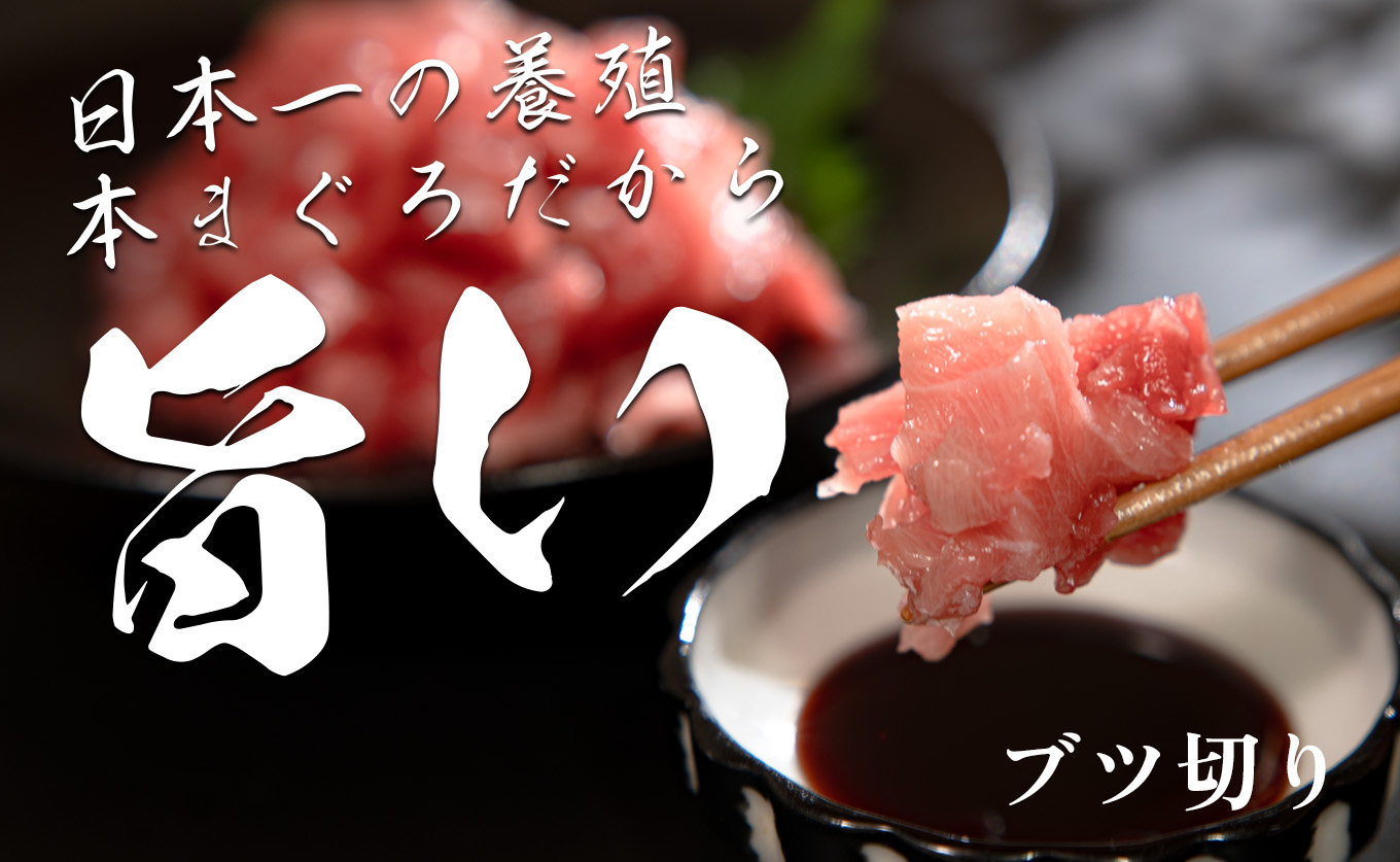 【高知県産 養殖本マグロ】ブツ切り900g 黒潮本まぐろ｜マグロ丼 最優秀賞受賞 日本一 本まぐろ クロマグロ 赤身 大トロ 中トロ トロ ミックス ぶつ切り まぐろ 鮪 小分け 個包装 ３種 丼 寿司 年末年始 産地直送 高知県 大月町