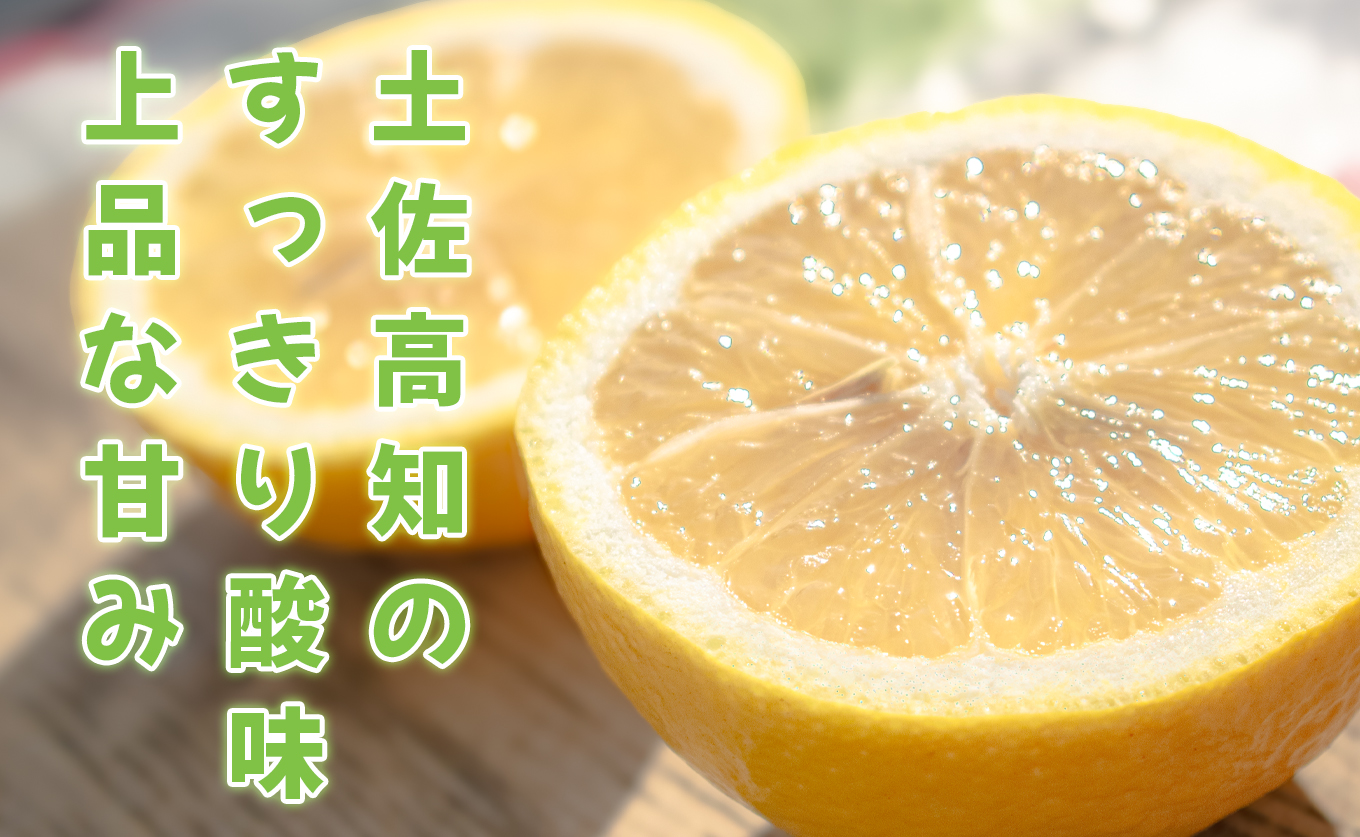 小夏 5kg 家庭用 日向夏 ニューサマーオレンジ 柑橘 みかん ノーワックス こなつ くだもの 果物 産直 旬の果物 お取り寄せ 産地直送 フルーツ 爽やか スッキリ 甘い 高知県 大月町産 コーラルフルーツ農場