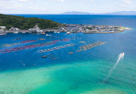鯛丼の素 5食セット 真鯛 漬け丼 特製タレ 海鮮 刺身 冷凍 真空パック 小分け お取り寄せ 贈答用 海鮮丼 鯛茶漬け 高知 大月町 柏島 谷鮮魚食堂