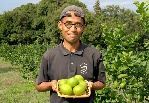 こじゃんとレモン 4kg｜国産 高知県 大月町 レモン 檸檬 レモン水 フルーツ グリーンレモン イエローレモン 果実 柑橘 新鮮 ビタミンC 採れたて フレッシュ 季節の果物 産地直送 美容 健康 安心安全 国産レモン ギフト おすすめ