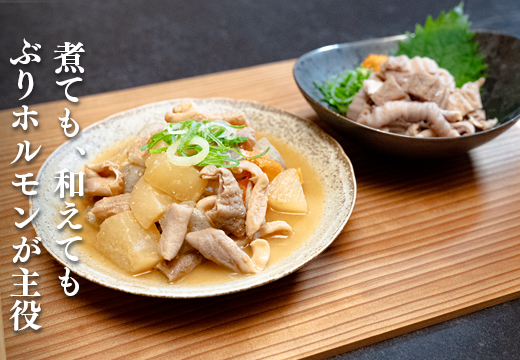 ぶりホルモン 3kg 希少部位 ブリ 鰤 ぶり ブリホルモン 養殖 活締め ホルモン 海鮮 魚介 魚 海産物 冷凍 おつまみ 内臓 珍味 漁師飯 新鮮 下処理済み 産地直送 おいしい 人気 おすすめ 大容量 高知 高知県