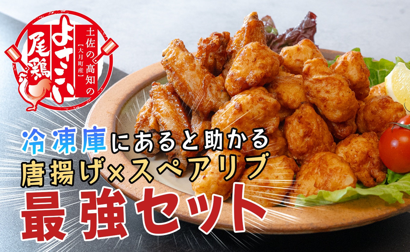 国産 よさこい尾鶏 鶏肉 唐揚げ 手羽中 チキンスペアリブ 2.7kg スパイシー ビールに合う ビール おつまみ 晩酌 酒の肴 国産鶏肉 レンチン レンジ 揚げるだけ 冷凍 簡単調理 時短調理 タイパ おかず お弁当 晩ごはん おつまみ 唐揚げ