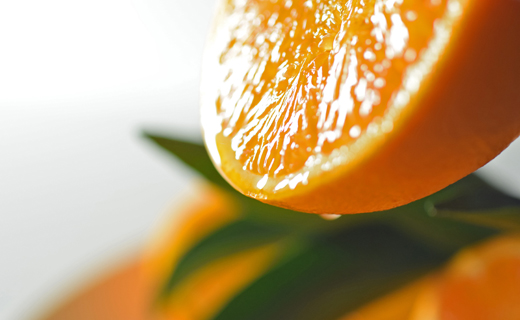 せとか 約5kg 家庭用 高知県産 ハウス栽培｜ハウスみかん 甘い 濃厚 ジューシー 香り豊か 希少 柑橘 柑橘の大トロ 訳あり 果物 フルーツ プレミアム 国産 大月町 人気 美味しい おいしい おすすめ 旬 旬の果物 旬のフルーツ