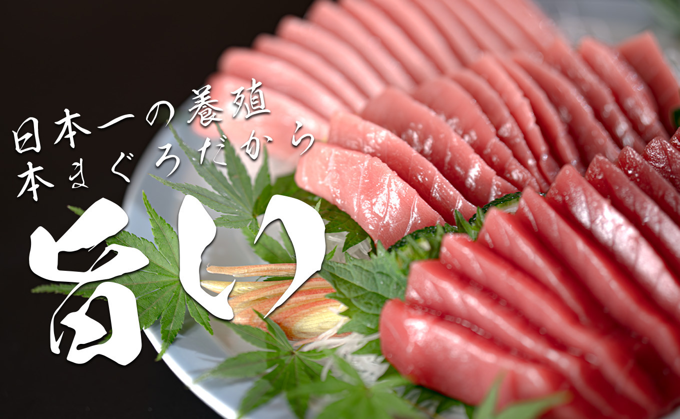 お正月 贅沢 本マグロ お刺身 3種セット 750g  国産 養殖 黒潮本まぐろ｜マグロ 本マグロ 鮪 本まぐろ 赤身 中トロ 大トロ トロ 食べ比べ おせち 年末年始 お歳暮 ごちそう 刺身 海鮮 高級 最優秀賞 高知県 大月町