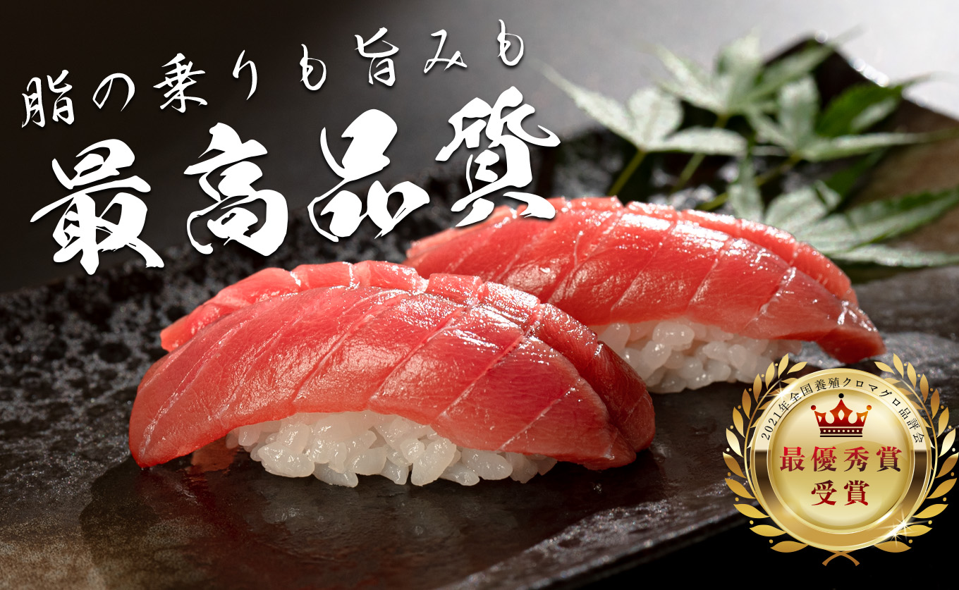 【訳アリ】養殖本マグロ 赤身 3kg 黒潮本まぐろ｜大容量 不定貫 不揃い 刺身用 業務用 養殖まぐろ 最優秀賞受賞 日本一 配達日指定可 本まぐろ まぐろ 鮪 訳あり ワケあり たっぷり 小分け 丼 寿司 海鮮 魚 柵 産地直送 高知県 大月町