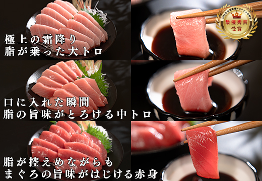 【定期便 6回】高知県産 本マグロ 大トロ・中トロ・赤身 (不定貫) 月替わり