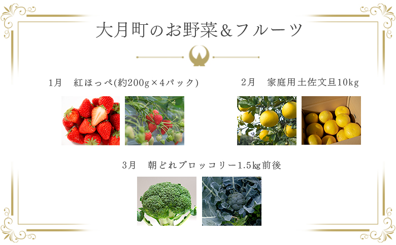 【定期便 10回】旬のお野菜 フルーツ セット｜新鮮 産地直送 果物 健康志向 ギフト 贈り物 人気 おすすめ いちご 紅ほっぺ 土佐文旦 朝どれブロッコリー 柑橘 パプリカ メロン ぶどう 新生姜 レモン 芋 詰め合わせ お取り寄せ 大月町
