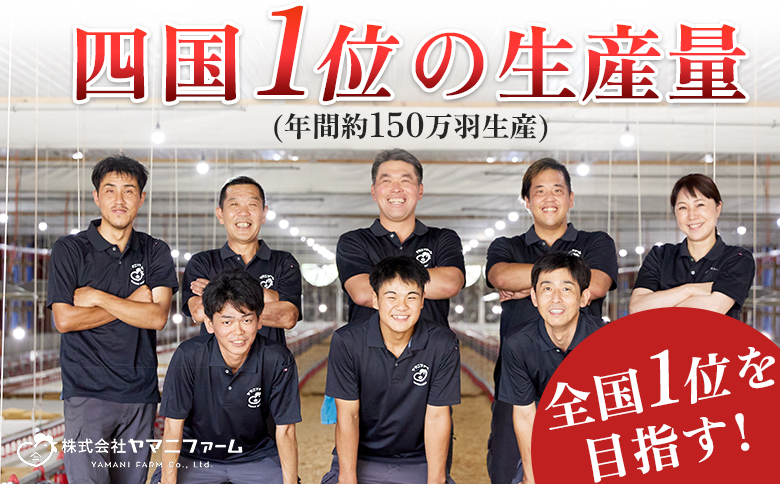 【定期便 6回】数量限定！鶏もも肉 8kg 大容量 国産 業務用｜おすすめ 鶏肉 天皇杯受賞 最優秀賞受賞 ブランド鶏 鶏モモ とり チキン よさこい尾鶏 小分け 冷凍 お弁当 作り置き 大量 子ども向け 唐揚げ おかず 人気 ヤマニファーム