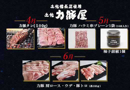 【定期便 3回】豚肉 タン 豚タン ハラミ 肩ロース ウデ 豚トロ トントロ 肉 バラ 焼肉用 4～6月｜ブランド豚 厚切り 国産 おすすめ 贈答用 おかず お弁当 BBQ 小分け 個包装 ギフト 串焼き キャンプ飯 土佐力豚屋  高知県 大月町