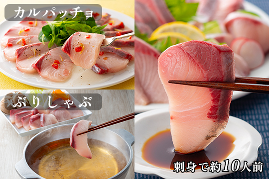 【定期便4回】冷蔵 養殖ぶり 2柵 セット｜鰤 ブリ 刺身 生食用 冷蔵直送 解凍なし 朝〆 海鮮 魚介 鮮度抜群 人気 小分け 個包装 贈答 ギフト おすすめ 高知県 大月町 国産 送料無料 お取り寄せ 産地直送 ぶりしゃぶ カルパッチョ