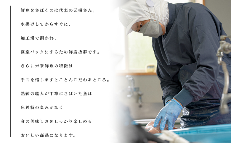【定期便4回】旬のお刺身用柵セット 4～6種 刺身 高知県産｜盛り合わせ 食べ比べ 鮮度抜群 産地直送 海の幸 海鮮 魚介 新鮮 おつまみ 酒 海鮮丼 寿司 厳選 ギフト おすすめ 人気 お盆 お中元 お歳暮 カルパッチョ お取り寄せ グルメ