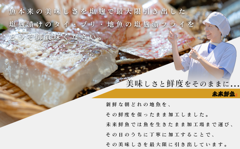 【定期便4回】塩麹に漬け込んだタイ＆ブリ＆地魚フライ｜高知県産 白身魚 鯛 魚 たい 鰤 ぶり 揚げ物 麹 米麹 塩こうじ 天日塩 おすすめ 新鮮 魚介 海鮮 ビール おつまみ ご飯 お米 おかず 冷凍 便利 時短 お取り寄せ 贈答 ギフト 国産