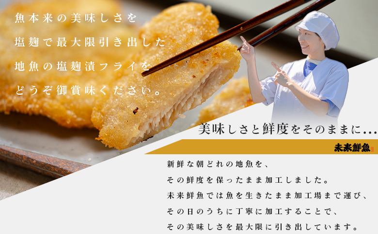 【定期便4回】地魚の塩麹フライ｜高知県産 白身フライ 揚げ物 麹 米麹 おかず 簡単調理 魚介 海鮮 弁当 惣菜 おつまみ 白身魚 冷凍 天日塩 新鮮 時短 ギフト 贈答 冷凍 小分け 産地直送 特産品 国産 便利 下味付き 魚 家庭用 米 ご飯