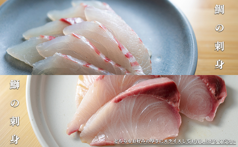 【定期便 12回】本マグロ タイ ブリ 刺身 本まぐろ 真鯛 ぶり 堪能セット 海鮮セット 産地直送 お刺身セット 新鮮 魚介 冷凍 真空パック 高知県 大月町