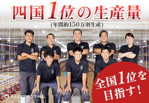 鶏肉 もも肉 1kg 定期便 6回 （1kg×6回） 鶏もも モモ肉 チキン 唐揚げ 若鶏 ブランド鶏 最優秀賞 天皇杯 受賞 小分け 冷凍 骨なし お弁当 照り焼き チキンステーキ 切り身 6kg 大容量 よさこい尾鶏 高知県 大月町