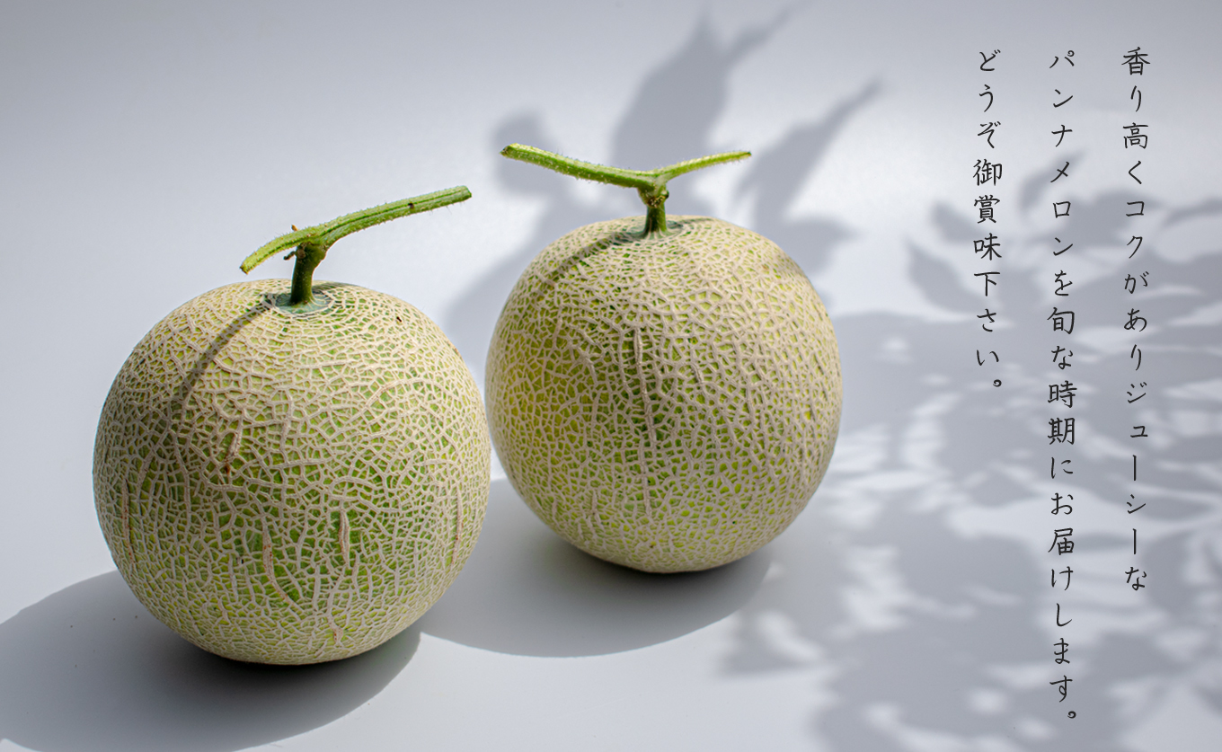 パンナメロン 2玉 希少 甘い 芳醇 メロン フルーツ 果物 濃厚 産地直送 数量限定 厳選 ギフト 贈答用 贈り物 プレゼント お中元 お歳暮 ご褒美 めろん ぱんなめろん 果汁たっぷり 果肉 果実 糖度 人気 旬 夏 デザート