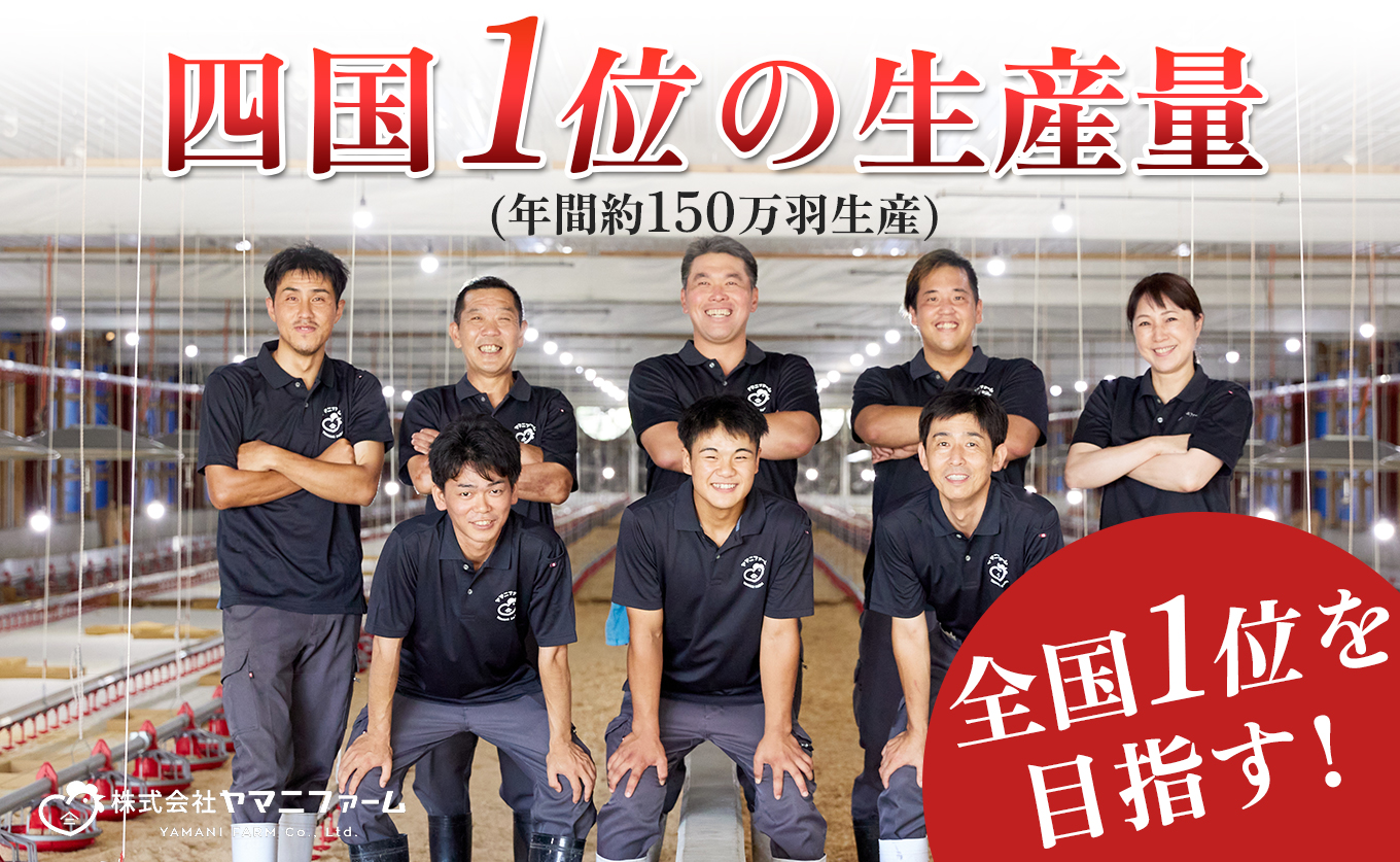 若鶏 もも角切り 1.8kg (300g×6P) よさこい尾鶏｜鶏もも もも肉 鶏肉 国産 ブランド鶏 銘柄鶏 高知県産 照り焼き 親子丼 唐揚げ 個包装 真空 冷凍 骨なし 時短 弁当 常備 小分け 循環型農業 配達日指定可 高知県 大月町