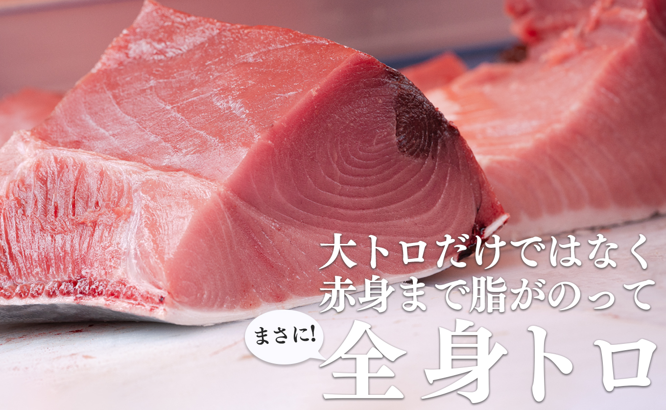 特大 国産 養殖 本マグロ 解体人付き 50kg以上 一本丸ごと 刺身 300人前 まぐろ 出張対応｜本まぐろ クロマグロ   鮪 まぐろ 生まぐろ 丸ごと1本 寿司 1000貫 パーティー 業務用 イベント 解体ショー 限定数量 高知県 大月町産