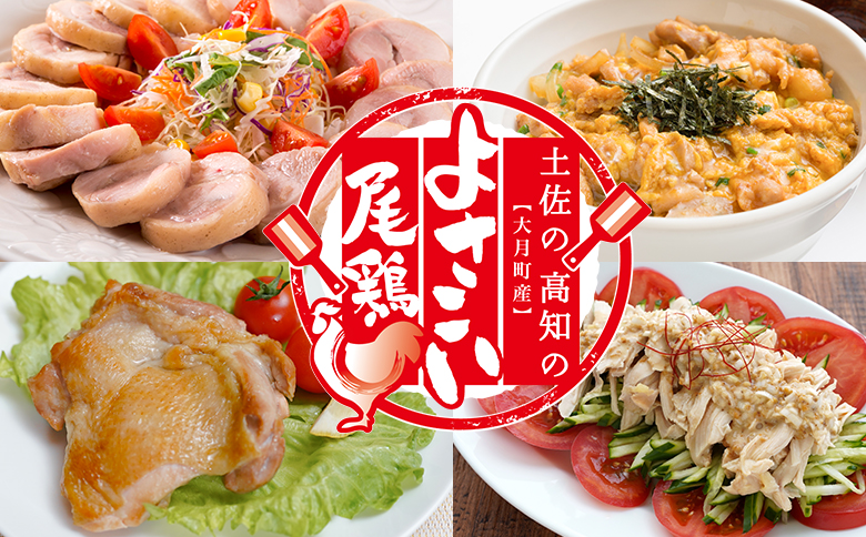 【定期便 6回】数量限定！鶏もも肉 角切り 12kg 大容量 国産｜業務用 おすすめ 鶏肉 天皇杯受賞 最優秀賞受賞 ブランド鶏 鶏モモ とり チキン よさこい尾鶏 小分け 冷凍 お弁当 作り置き 大量 子ども向け おかず 人気 ヤマニファーム