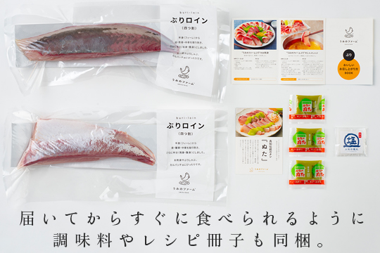 【定期便4回】冷蔵 養殖ぶり 2柵 セット｜鰤 ブリ 刺身 生食用 冷蔵直送 解凍なし 朝〆 海鮮 魚介 鮮度抜群 人気 小分け 個包装 贈答 ギフト おすすめ 高知県 大月町 国産 送料無料 お取り寄せ 産地直送 ぶりしゃぶ カルパッチョ