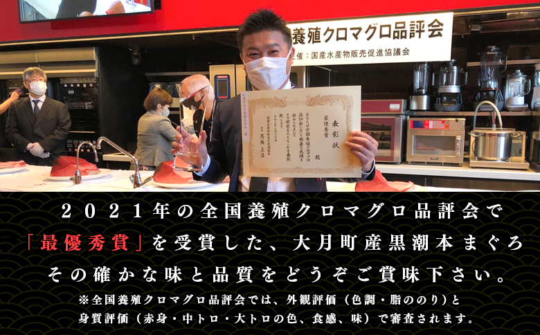 【定期便12回】日本一!黒潮本まぐろ 中トロ