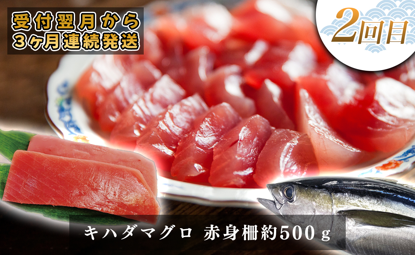 【定期便 3回】土佐のごちそう 海のめぐみ 春夏便｜新鮮 藁焼き かつお カツオ タタキ マグロ 赤身 真鯛 漬け丼 海鮮 魚介 海の幸 産地直送 旬 贈答用 おつまみ おかず ご褒美 送料無料 配送日指定可 おすすめ 人気 春 夏 ギフト お中元