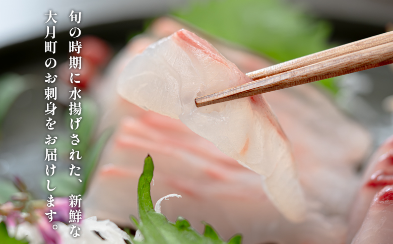 【定期便4回】旬のお刺身用柵セット 4～6種 刺身 高知県産｜盛り合わせ 食べ比べ 鮮度抜群 産地直送 海の幸 海鮮 魚介 新鮮 おつまみ 酒 海鮮丼 寿司 厳選 ギフト おすすめ 人気 お盆 お中元 お歳暮 カルパッチョ お取り寄せ グルメ