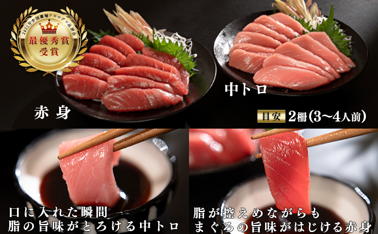 【定期便 6回】本マグロ タイ ブリ 刺身 本まぐろ 真鯛 ぶり 堪能セット 海鮮セット 産地直送 お刺身セット 新鮮 魚介 冷凍 真空パック 高知県 大月町