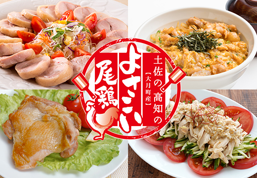 鶏肉 ささみ 1.1kg 定期便 6回 （1.1kg×6回） 鶏ささみ ササミ チキン 若鶏 ブランド鶏 最優秀賞 天皇杯 受賞 小分け 冷凍 骨なし お弁当 ササミフライ 梅しそ 筋トレ 高たんぱく 6.6kg 大容量 よさこい尾鶏 高知県 大月町