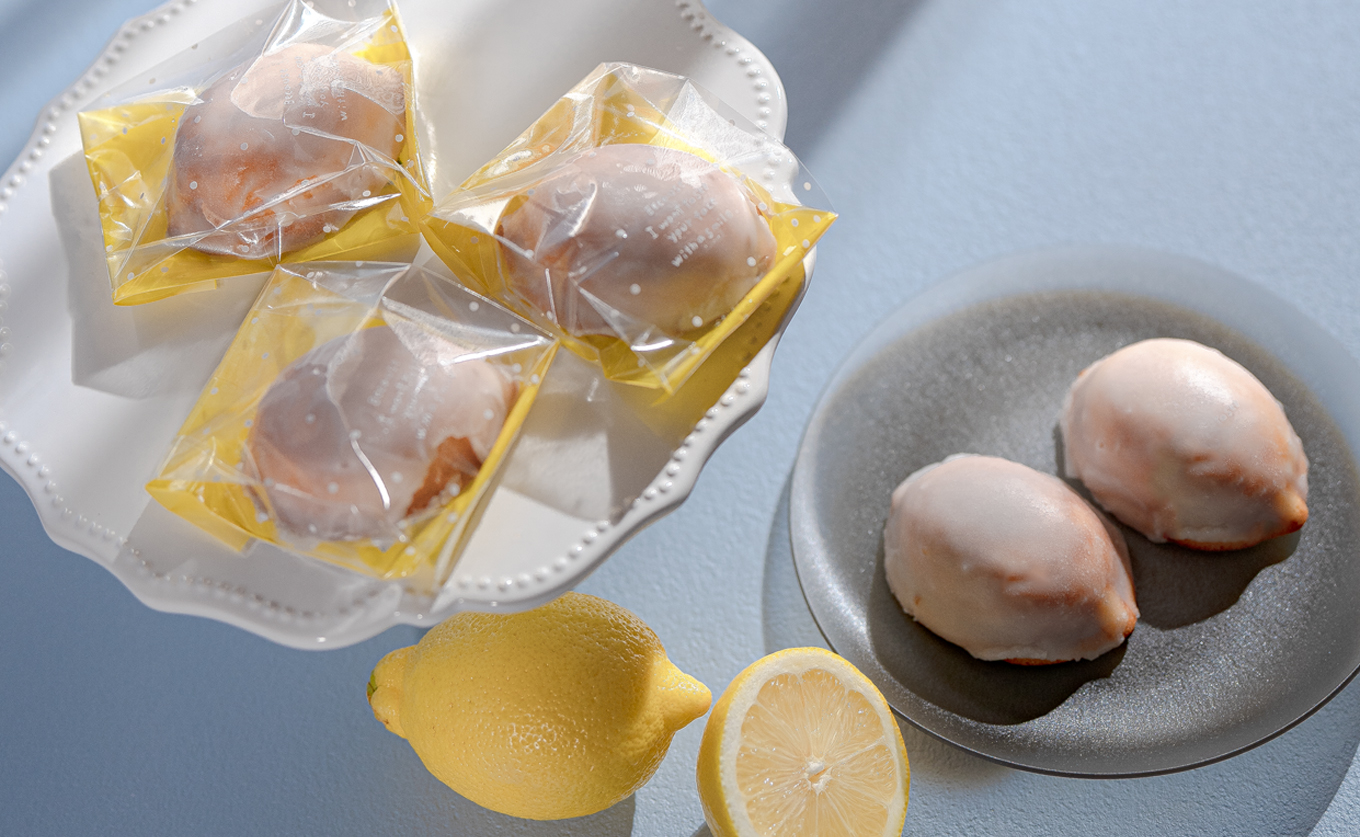 レモンのチーズケーキ 5個入 濃厚 レモン チーズケーキ 焼き菓子｜ベイクド スイーツ  洋菓子 ケーキ デザート ギフト 贈り物 プレゼント お取り寄せ しっとり 天日塩 塩 塩スイーツ お菓子 手土産 手作り ティータイム 大月町 高知県