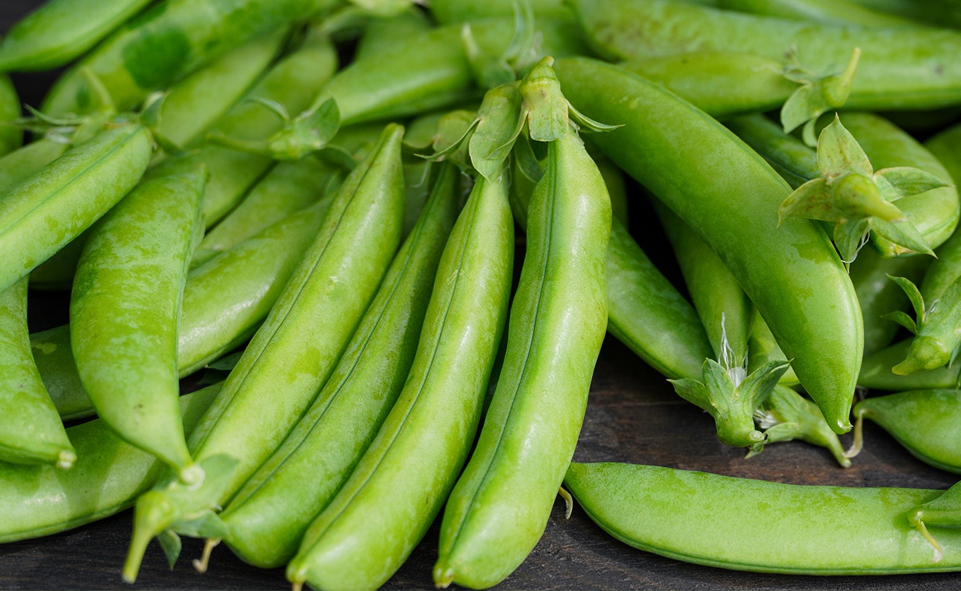 スナップエンドウ 800g 豆 えんどう｜スナップえんどう 産地直送 新鮮野菜 旬の春野菜 採れたて 厳選 甘い ハウス サラダ 天ぷら お弁当 彩り みずみずしい フレッシュ 季節 農家応援 生産者応援 家庭用 おいしい 旬 健康 高知県 大月町
