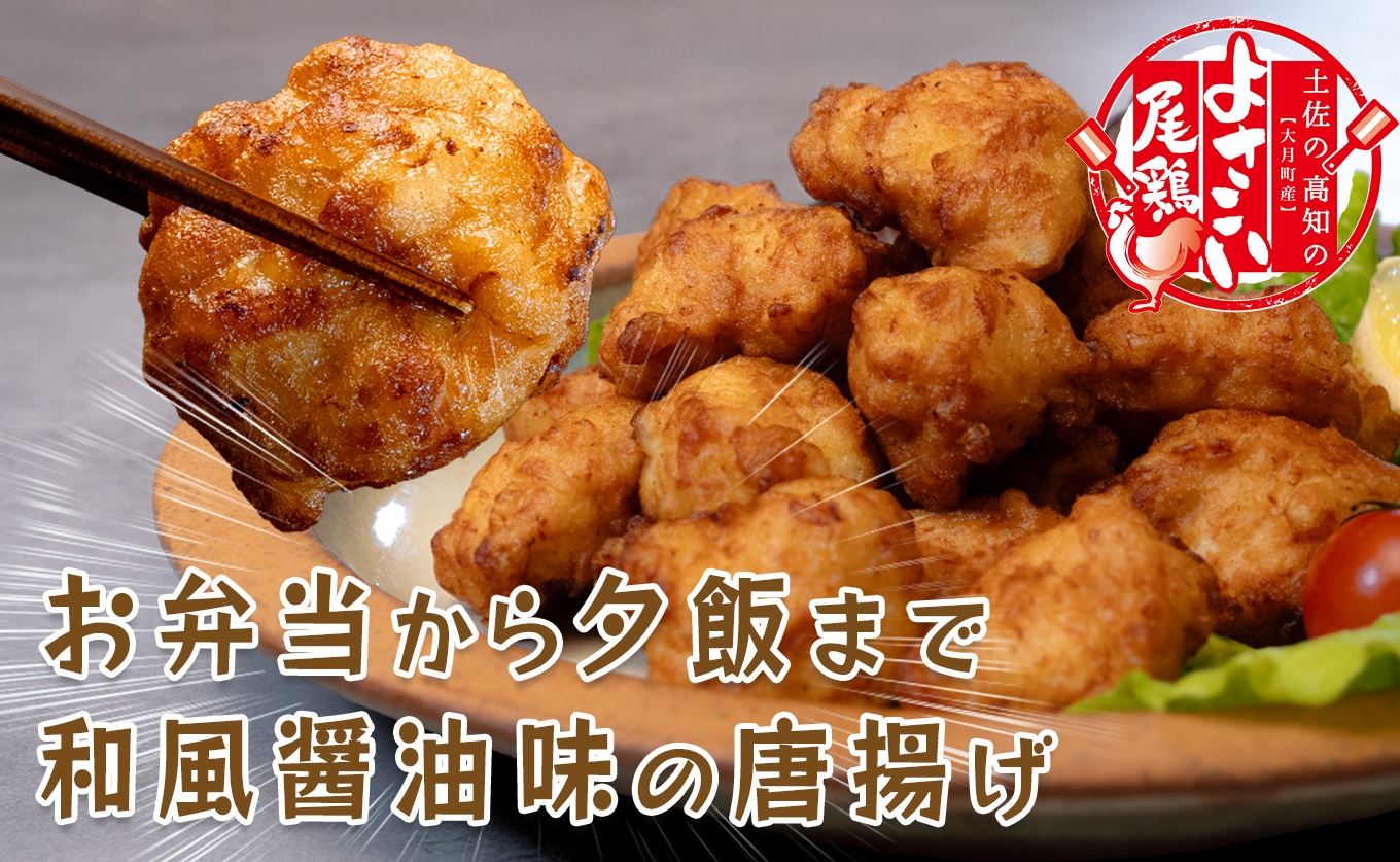 国産 よさこい尾鶏 鶏肉 和風しょう油唐揚げ 500g 国産鶏肉 レンチン レンジ 冷凍 簡単調理 時短調理 タイパ おかず お弁当 晩ごはん おつまみ 惣菜 人気 セット チキン 唐揚げ 高知県 大月町産