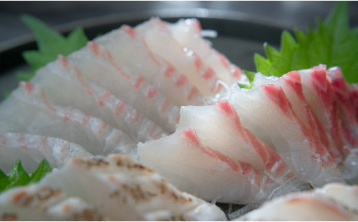 真鯛 フィーレ皮なし＆皮つき 計500～740g｜たい フィレ 半身 3枚おろし 食べ比べ 産地直送 冷蔵 真空パック 即日発送 配達日指定可 活〆 刺身 湯引き 海鮮丼 鯛めし 鯛茶漬け アクアパッツァ はやぶさ水産 高知県 大月町産