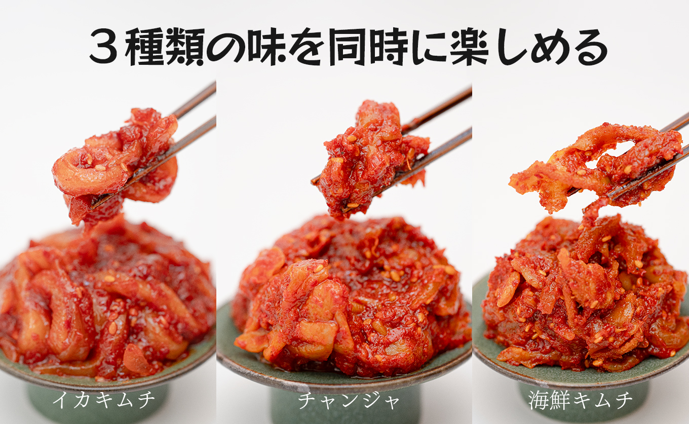 濃厚旨辛 海鮮キムチ イカキムチ タラチャンジャ 3種セット 各100g｜海鮮 ミックス キムチ チャンジャ 旨辛 お取り寄せグルメ ご飯のお供 お酒の肴 晩酌 冷凍便 食べ比べ 詰め合わせ 冷凍キムチ ご当地グルメ ギフト 贈答 高知県 大月町