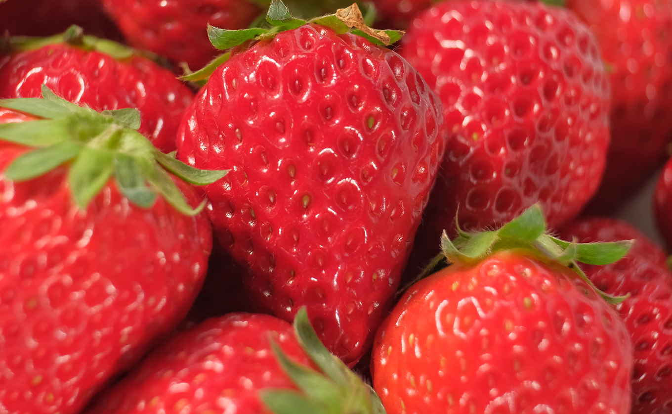 いちご 紅ほっぺ 約200g×4 苺 イチゴ ストロベリー 800g 生いちご 果物 フルーツ くだもの 旬 朝採れ とれたて 新鮮 期間限定 ご褒美 直送 贈答 贅沢 プレミアム 人気 いちご大福 ギフト 甘い  苺 いちご イチゴ