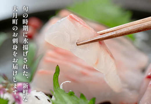 旬のお刺身用 柵セット 9～12種 高知県産 刺身 盛り合わせ｜食べ比べ 刺身セット 鮮度抜群 産地直送 海の幸 海鮮 魚介 新鮮 おつまみ 酒 海鮮丼 寿司 厳選 ギフト おすすめ 人気 刺し身 さしみ お中元 お歳暮 カルパッチョ お取り寄せ