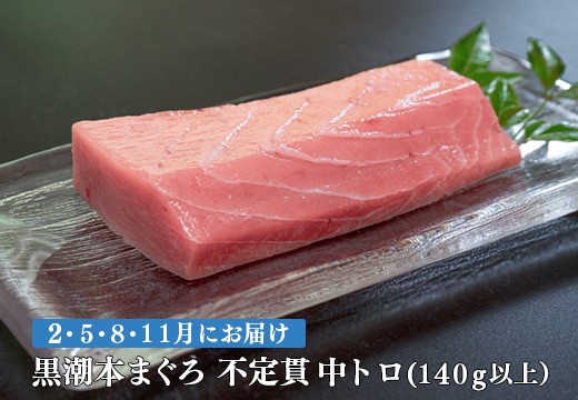 【定期便 4回】高知県産 本マグロ 中トロ 養殖 1柵 140g (不定貫)