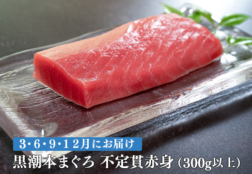 【定期便 4回】高知県産 本マグロ 赤身 養殖 2柵 300g (不定貫)