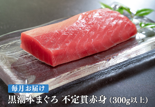 【定期便 12回】高知県産 本マグロ 赤身 養殖 2柵 300g (不定貫)